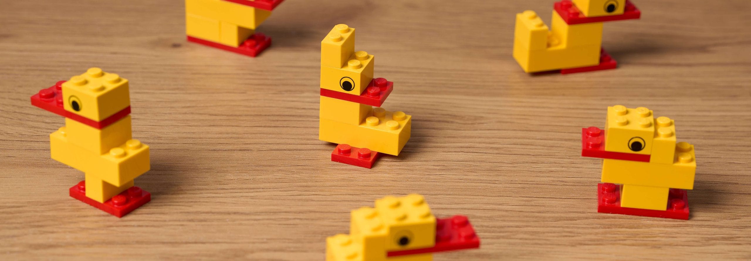 warsztaty otwarte zdj warsztaty otwarte zdj